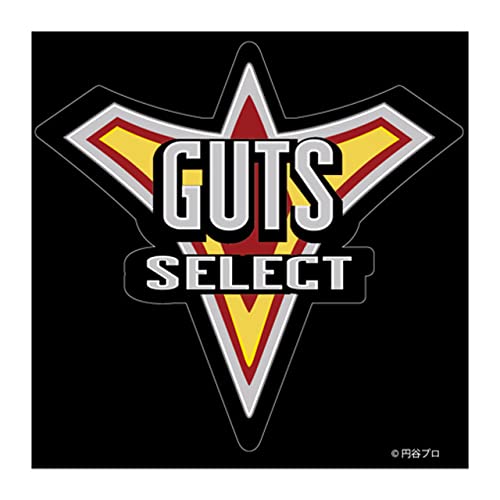 O[K[W Eg}gK[ GUTS-SELECT GG3σXebJ[ rjn