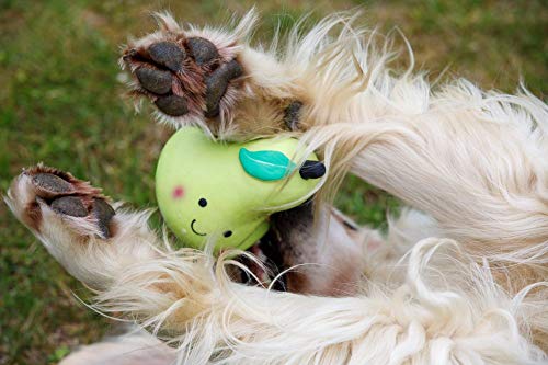 Petface Hundespielzeug aus Latex, Birne, weich, klein