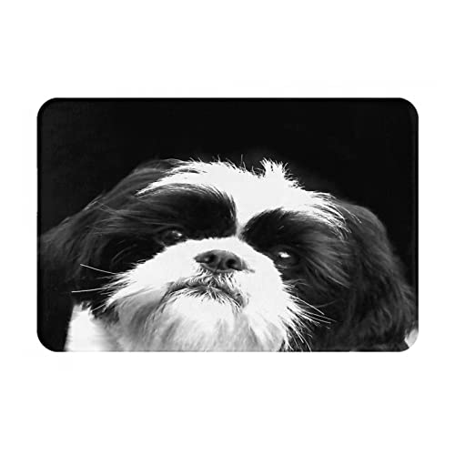 փ}bg J[ybg V[Y[  킢  hA}bg Op փ}bg DƂ hA}bg ~ z  ϖՐ 40x60cm Ɩp ItBXp ƒp Lb`}bg 􂦂 g[Ή I[V[YKp