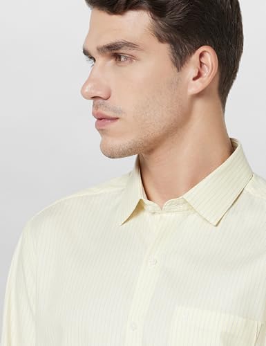 Image of Arrow Men's Cotton Striped Slim Fit Shirt