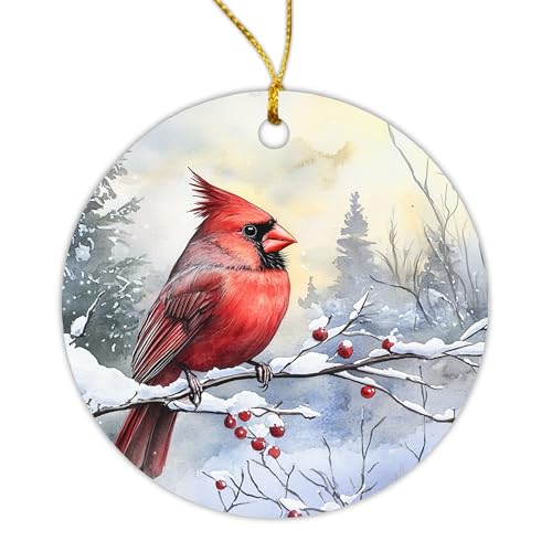 Image of Than8686-20250820 - - - ORN - - - Red - - - Cardinal - - - - RcbfrVGIi