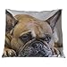 Federa per cuscino Bulldog Frances, fatta a mano in Spagna con amore cagnolino, 50 x 50 cm (Dexter Lying)