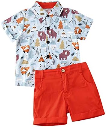 2Pcs Toddler Kids Boys Summer Cartoon Crocodile T-Shirt Tops Plaid Shorts Outfits Set Clothes (Style 3, 5 (4-5Y))