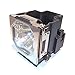 P PREMIUM POWER PRODUCTS POA-LMP146-ER Replacement Projector Lamp for SANYO POA-LMP146-ER