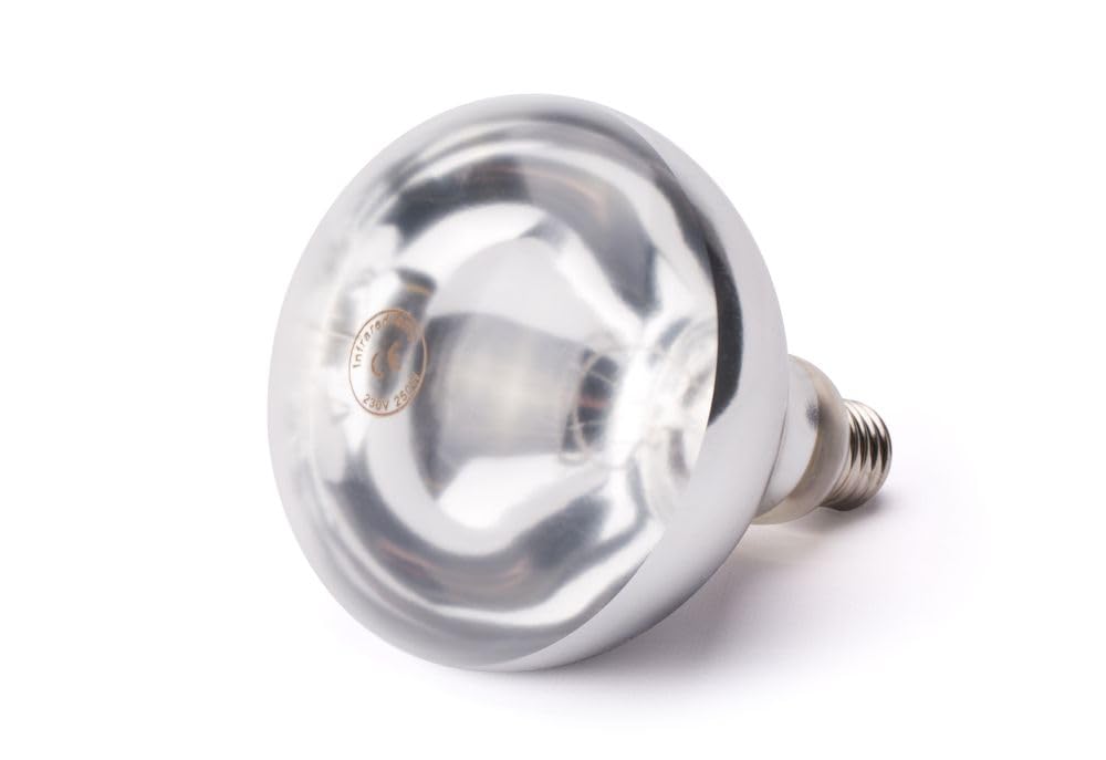 HENDI 919200 Ampoule pour lampe chauffante infrarouge