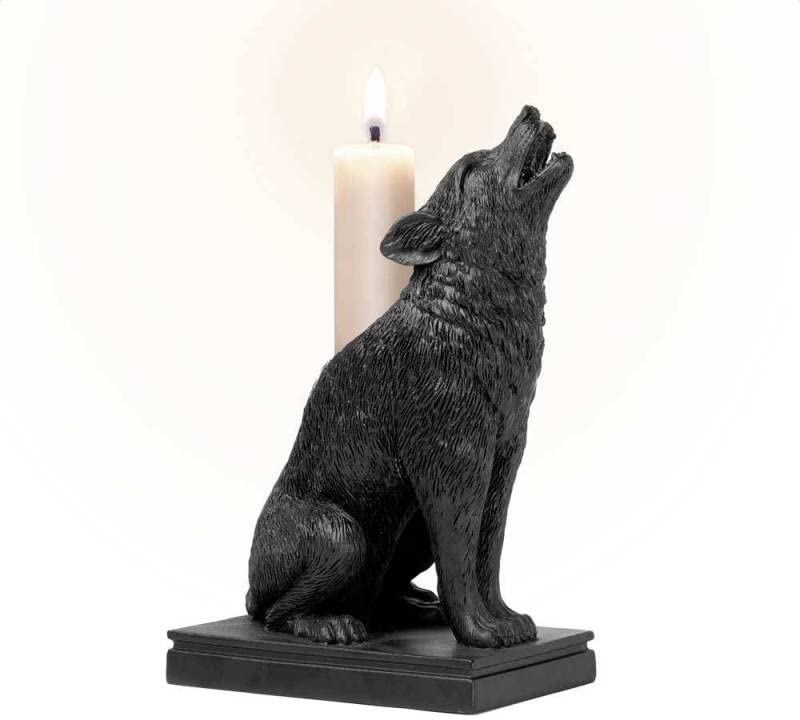 Amazon.com: Alchemy England - Ulula Noctis - Gothic Wolf