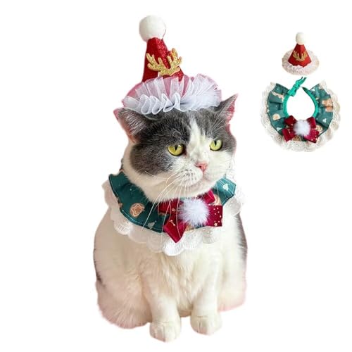 Yucahype NX}X ybg RX`[ RXv  Lp }t[ Xq  ߑ ybg ^ ^ ^ NX}X ʐ^Be (L O[)