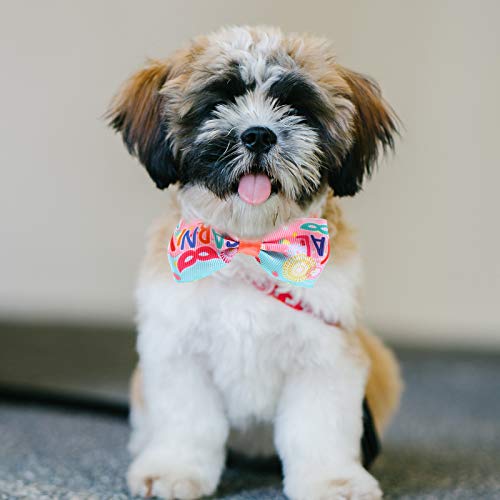 TEHAUX 10 peças decorativas para animais de estimação gravata borboleta para animais de estimação co