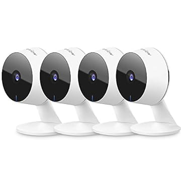 best alexa compatible security camera