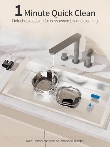 Water fountain quick clean