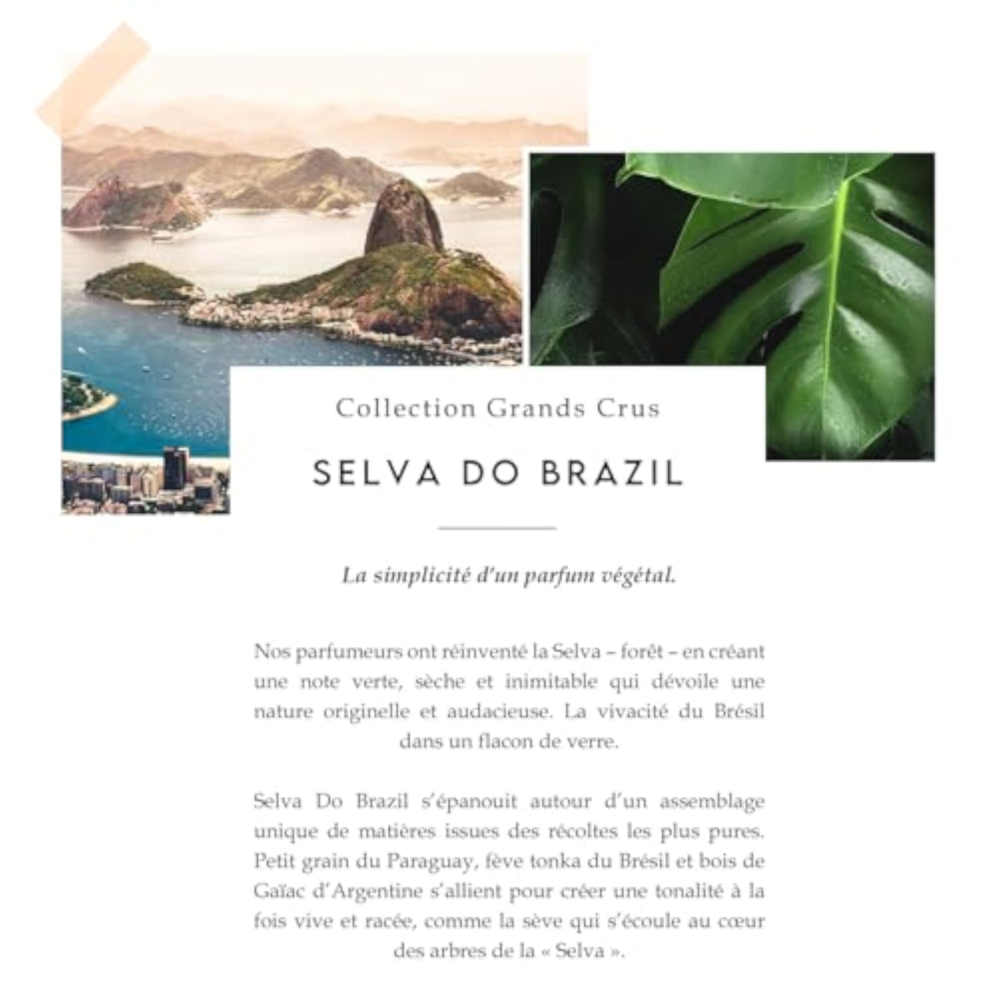 Selva Do Brazil by Grands Crus Cologne 3.3 oz Spray