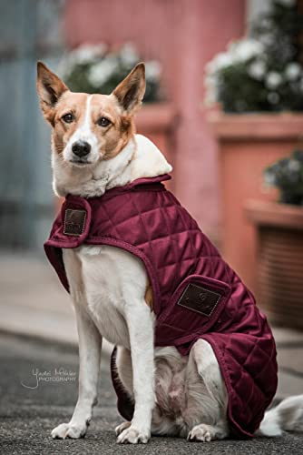 Kentucky - Hundemantel - Bordeaux - XS - 28-33cm