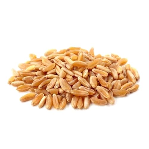 BONGIOVANNI FARINE E BONTA' NATURALI Grano Khorasan Kamutin Chicchi, 1Kg