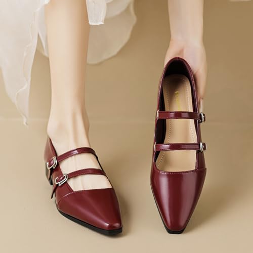 Women's Leather Pointed Toe Retro Double Strap Mary Janes,Adjustable Buckle Low Heel Flats Fashion Comfortable Dress Shoes 5