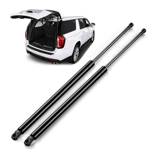 ARANA Rear Hatch Struts for Honda Odyssey 2005-2010, Trunk Lift Support Liftgate Shocks Spring Fits Honda Odyssey Base DX LX EX-L Mini Passenger, 2 Pcs