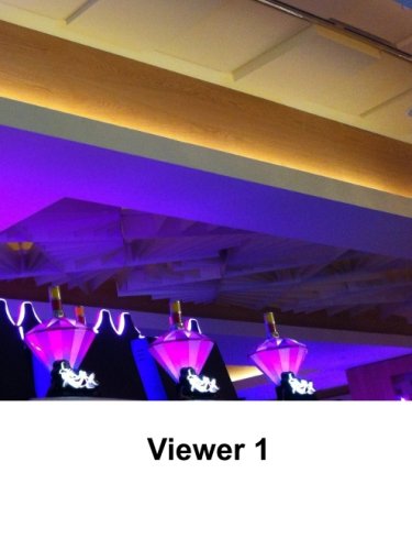 Viewer 1 (Modes) (Volume 5)