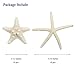 Jangostor 20 PCS Starfish 2-6 Inch Mixed Starfish Natural Seashells Starfish Star Fish Shells Decorations Perfect for Wedding Decor Beach Theme Party, Home Decorations, DIY Crafts, Fish Tank