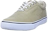 Sperry Mens Striper LL CVO Sneaker, Chino, 7