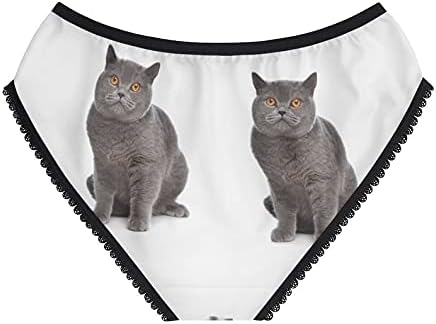 Women's Blue British Shorthair Cat Panties, Blue British Shorthair Cat Underwear, Briefs, Cotton Briefs, Funny Underwear