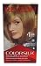 Revlon ColorSilk Beautiful Color, Dark Blonde [61] 1 ea (Pack of 3)