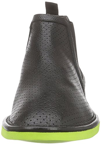 Pollini