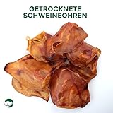 Topdog XL Schweineohren Hunde 50 Stück - Ganze getrocknete Schweineohren für Hunde ohne fettige Muschel - 100% natürlich aus Deutschland - Langanhaltender Kauspaß mit Genuss und Pflege