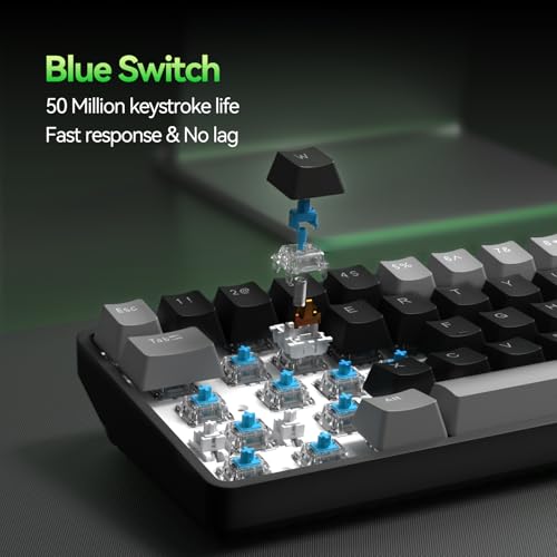 Image of TMKB T68 60% Wireless Mechanical Gaming Keyboard, Tri-Mode BT5.0 /2.4GHz /USB-C with Clicky Blue Switch, RGB Backlight, Anti-Ghosting, Compact 68 Keys, Wired /Wireless, Gray /Black