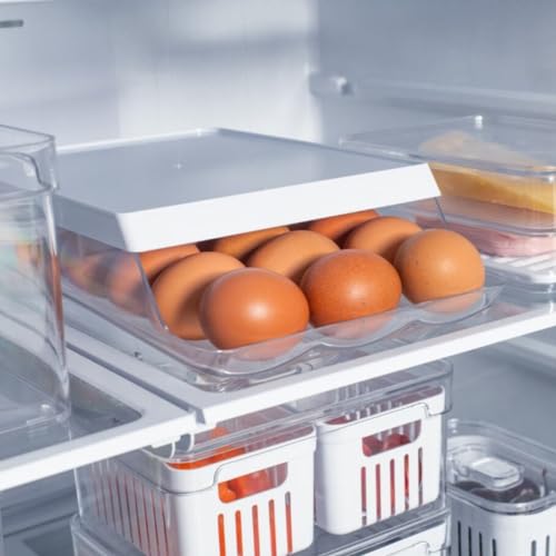 OU ORGANIZADOR DE OVOS ROLL CLEAR FRESH 21 UNID.