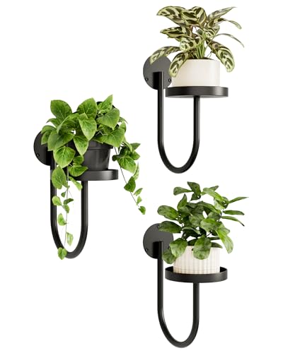 Bamworld Hanging Planters for Indoor Plants Wall Plant Holder Plant Hanger Indoor Wall Planters Window Plant Shelves Hanging Plant Holder Window Plant Hanger Plant Decor Black 3pcs
