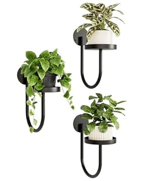 wall plant shelves for indoors