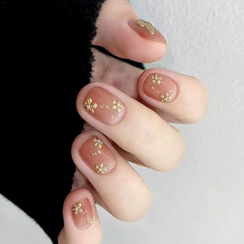 24 }XƉԕV[gXNGAt܃vX}jLAANZT[̂߂̃lCfR[V