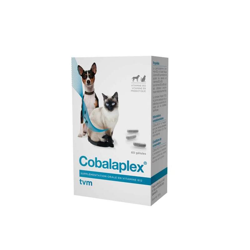 TVM - Cobalaplex Supplement Vitamine B12 und B9 Box mit 60 Kapseln