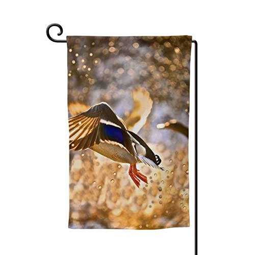 Drapeau de jardin colvert sunset 12,5x18 cm double face déco extérieur