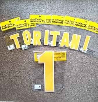 41vJnoPYTPL._AC_UF350,