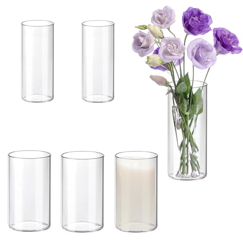 6 Pièces Vase cylindrique en Acrylique Fleur Arrangement Vase Plante pour Décoration de Table, Centres de Mariage 10x20cm et 12x20cm
