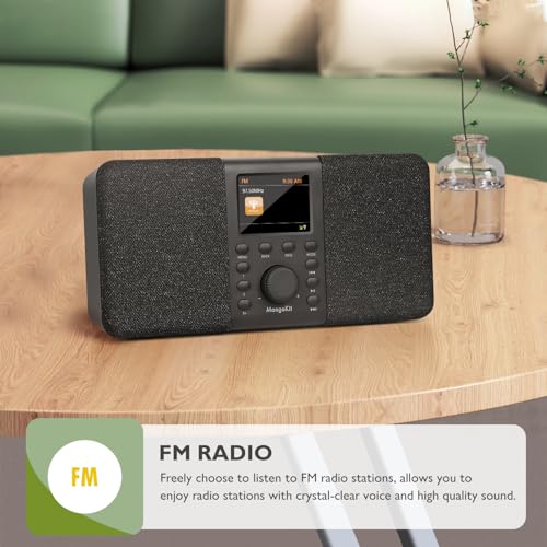 Image of SR20 Stereo 2.0 WiFi Internet Radio with Bluetooth 5.3, Podcast Player, FM Radio, Mains or AA Battery Powered, Color Display, 60 Presets, Dual Alarms, App Control Support-Elegant Black