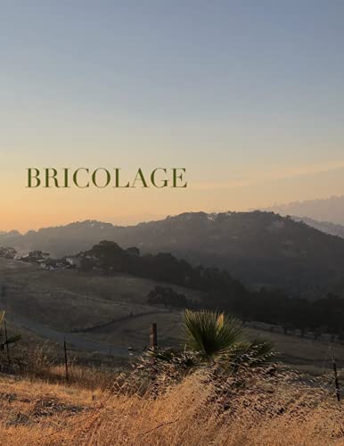 Bricolage: A Journal of Comparative Literature: Issue 16
