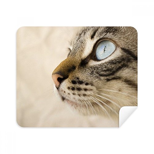 Chiffon de nettoyage contre les traces de doigts sur écran et lunettes tissu suédine chaton