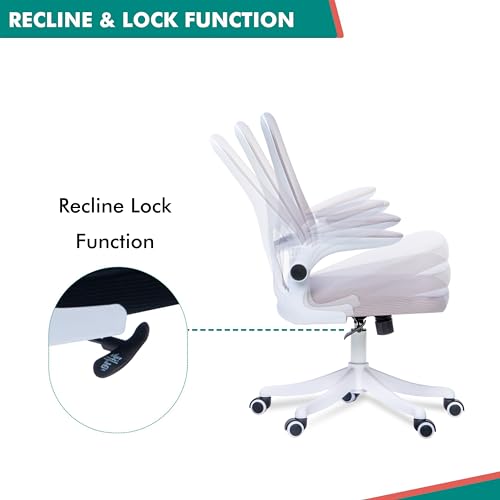 Alex Daisy Plastic Flexo Ergonomic Office Chair/Study Chair/Computer Chair (Without Headrest, Grey) - Image 6