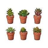 El set de 6 plantas artificiales de cactus con el tallo y las hojas elaborados con duradero material plástico, de color verde con tintes morados, los tiestos de las macetas son de pasta de papel, de color terracota, para sumarle realismo llevan en la maceta piedrecitas de grava decorativas.