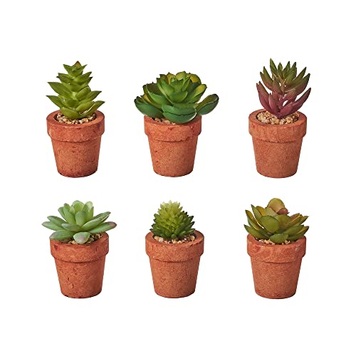 LOLAhome Set de 6 Plantas Artificiales de Cactus con Maceta de pastade Papel Terracota