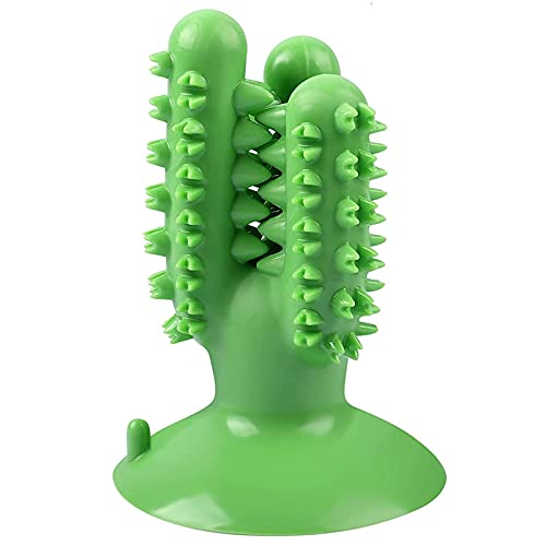 Photo 1 of Dog Toothbrush Chew Toy for Aggressive Chewers
3 ct