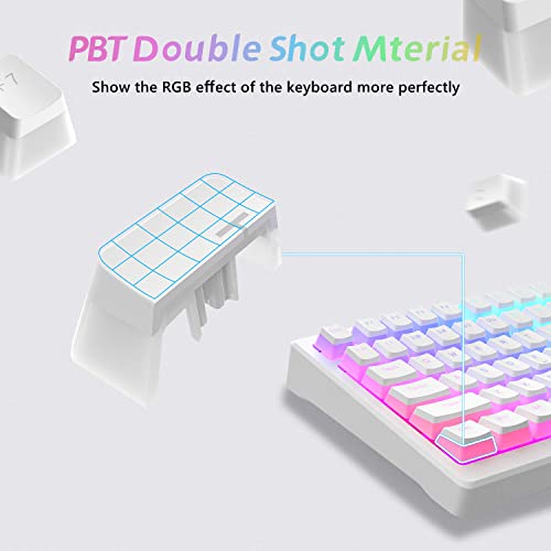 Image of Womier Pudding Keycaps, PBT Shine Through Keycaps White 164 Keys Set | Custom Key caps Set OEM Profile, Mechanical Keyboard Keycap Universal Compatiability for 100%, 75%, 65%, 60% Keyboard-White