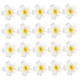 Photo Gallery zunoxaz 20 pezzi fermagli plumeria antiscivolo clip fiore artificiale per matrimonio accessori estivi per spiaggia e feste pinze resistenti e leggere per donne e ragazze Photo Gallery zunoxaz 20 pezzi fermagli plumeria antiscivolo clip fiore artificiale per matrimonio accessori estivi per spiaggia e feste pinze resistenti e leggere per donne e ragazze