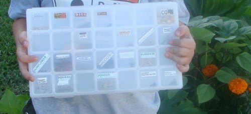 MPO's Seed Storage Box