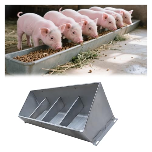 Mangeoire pour le bétail avec ouverture inclinée pour cochons et moutons - 2
