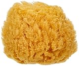CROLL & DENECKE P100 - Esponja Natural del mar Mediterrneo, 10 cm