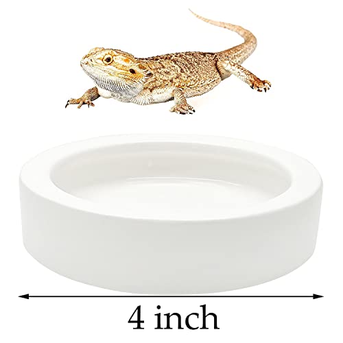 iHomeSet 2 Pcs Reptile Food Bowl Ceramic Water Feeder Bowls Anti- Escape Mini Reptile Feeder for Lizard, Gecko etc… - Image 4