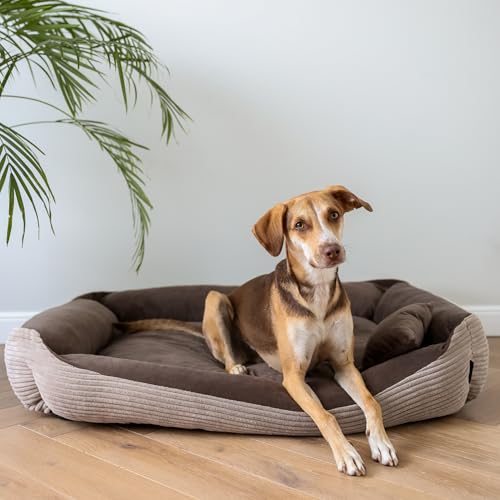 4L Textil Molly Hundebett Cord mittelgroße Hunde Hundekorb Hundekörbchen aus Cordstoff waschbar mit Bezug (80x60 cm, Braun)