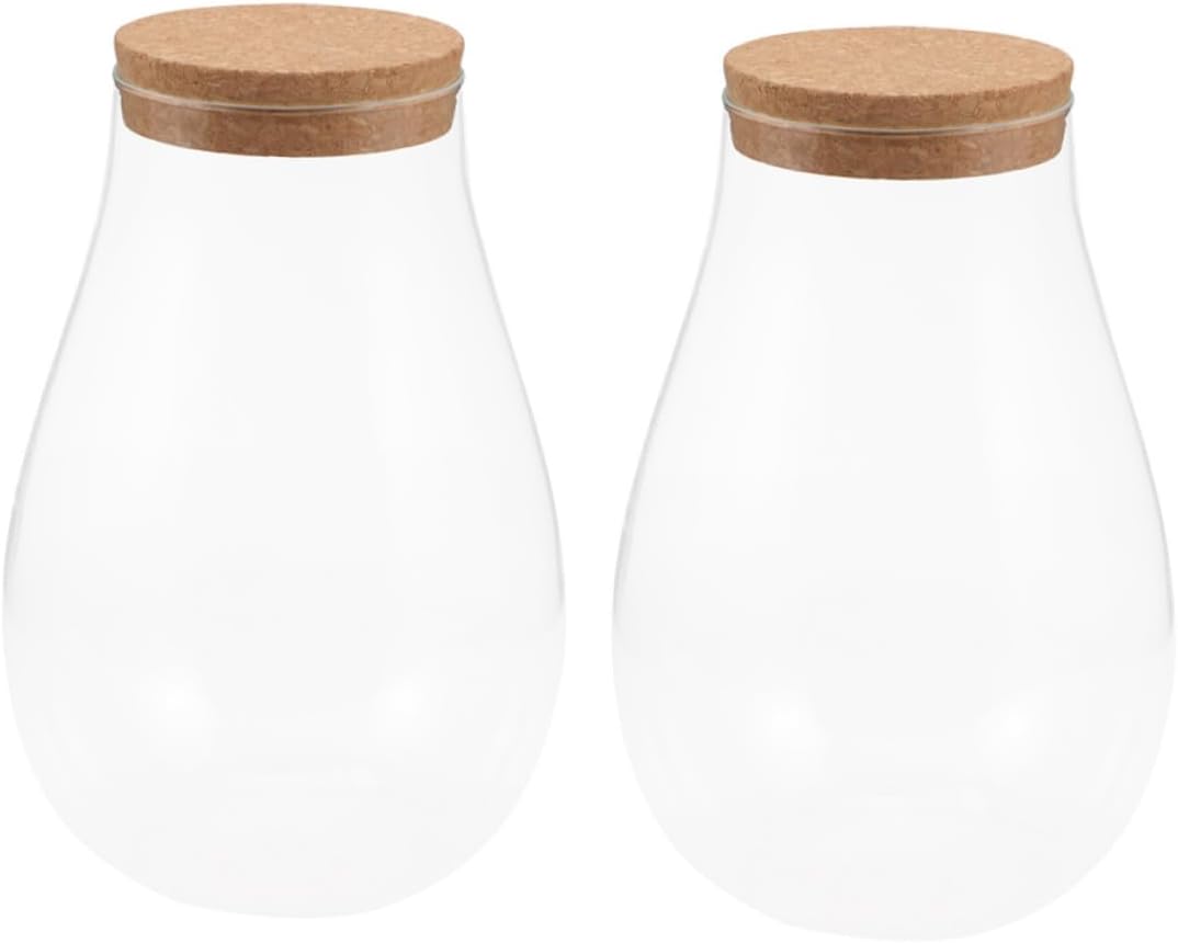 2pcs Glass Moss Plant Bottle DIY Micro Landscape Container for Indoor Garden Decor with Cork for Air Holders and Creative Displays